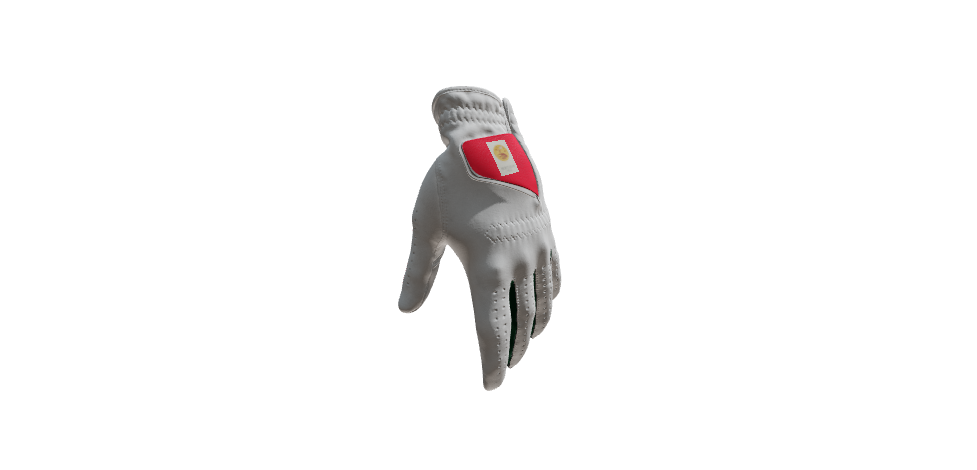 Custom Created Golf Glove 181791