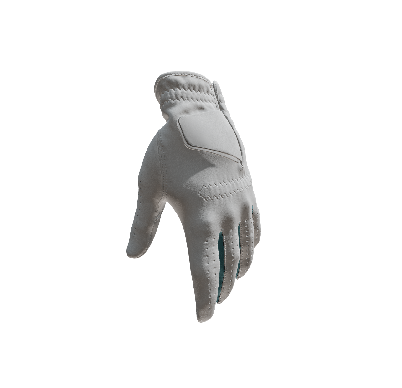 Custom Created Golf Glove 248896