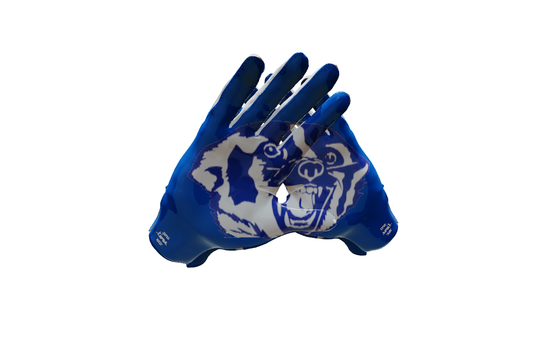 Custom Created Football Glove 469805