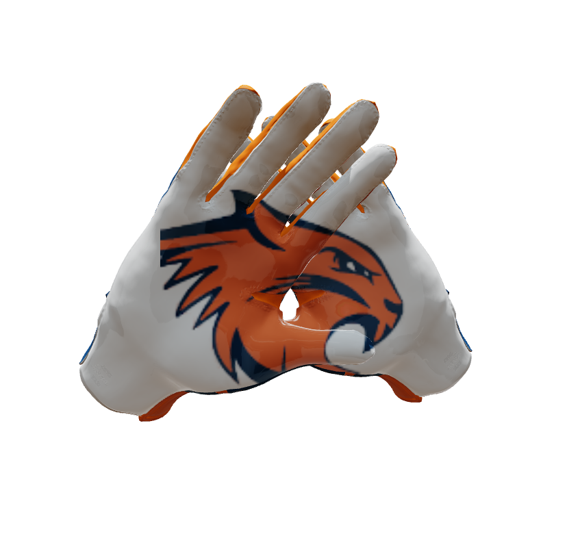 Custom Created Football Glove 756368