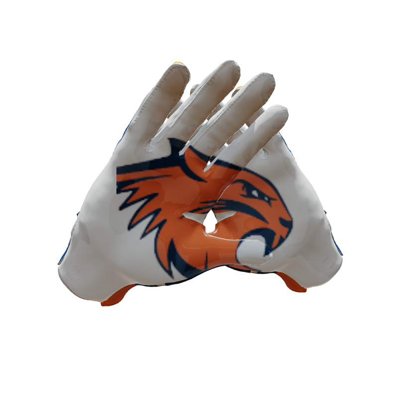 Custom Created Football Glove 292897