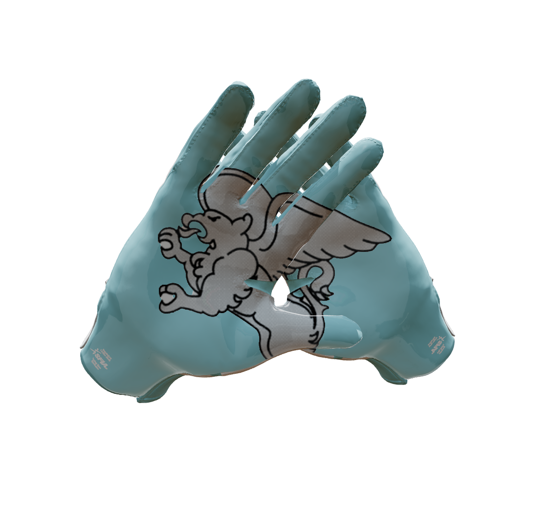 Custom Created Football Glove 590020