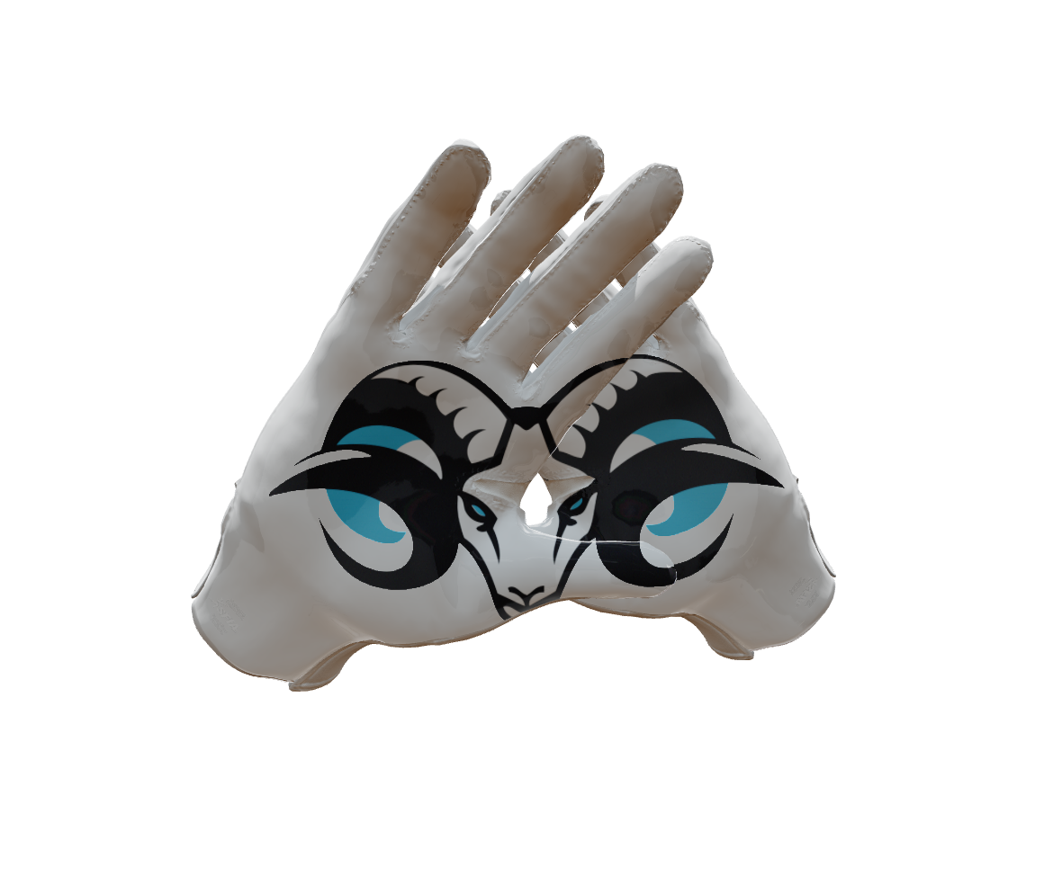 Custom Created Football Glove 242426