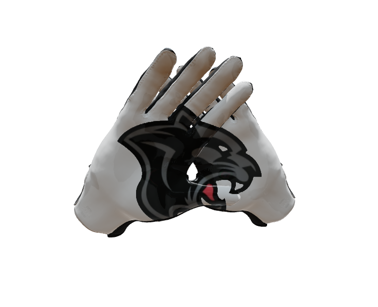 Custom Created Football Glove 661497