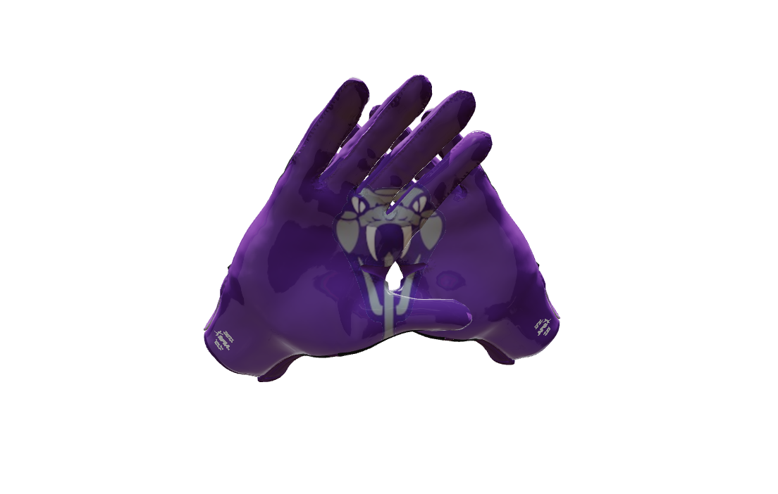 Custom Created Football Glove 924370