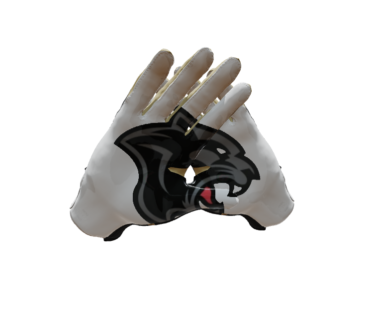 Custom Created Football Glove 305479
