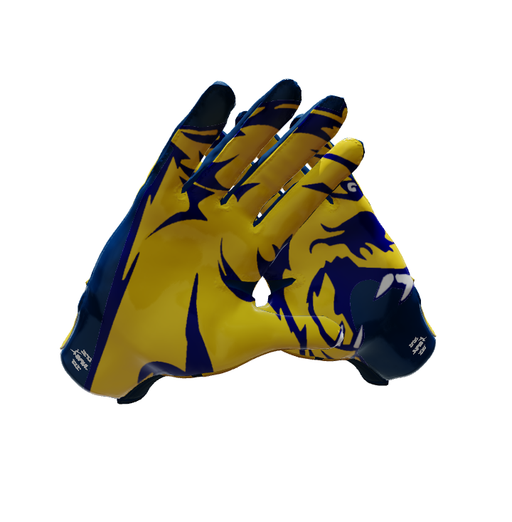 Custom Created Football Glove 705781