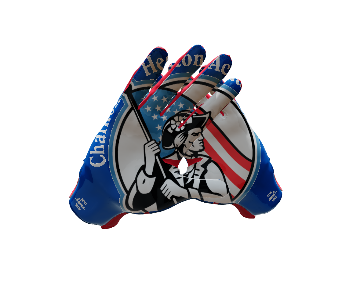 Custom Created Football Glove 104650