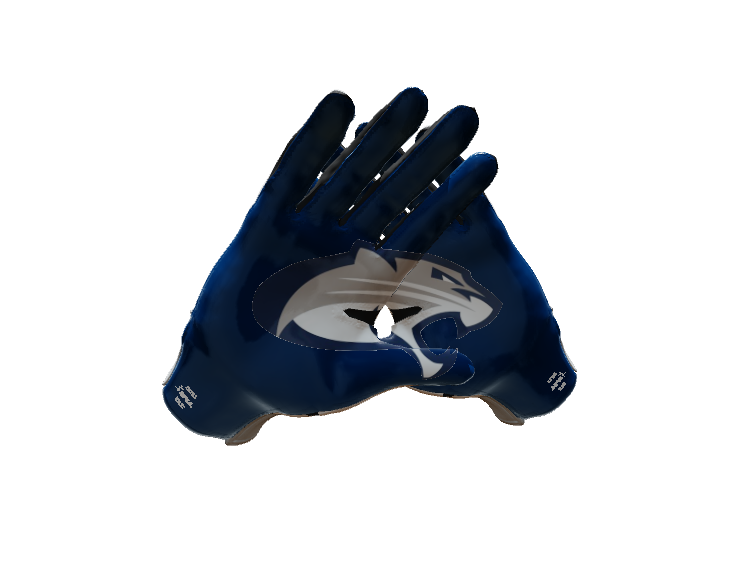Custom Created Football Glove 501527