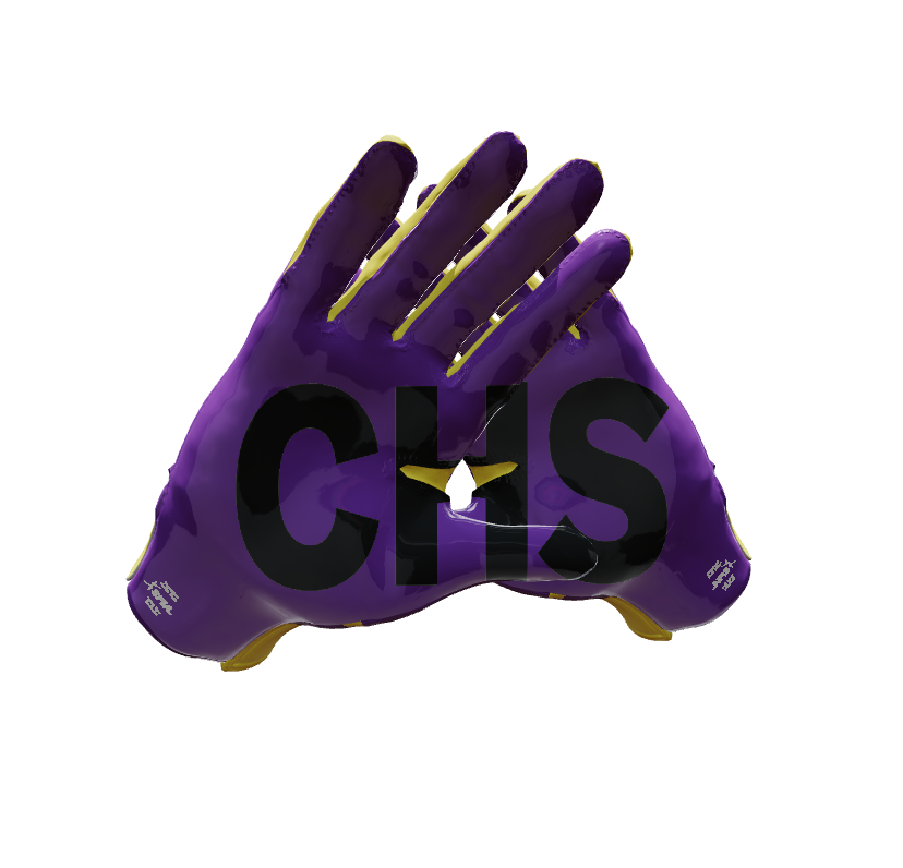 Custom Created Football Glove 229338
