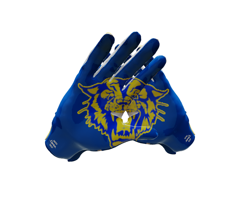 Custom Created Football Glove 846824