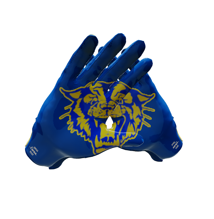 Custom Created Football Glove 219669