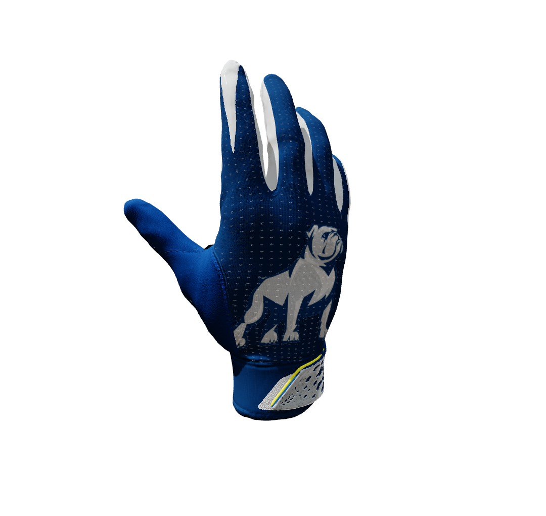 Custom Created Baseball Glove 218279