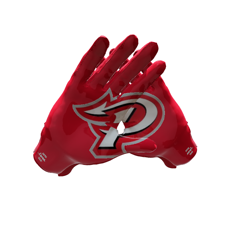 Custom Created Football Glove 806971