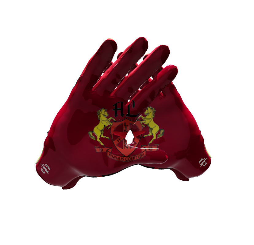 Custom Created Football Glove 230716