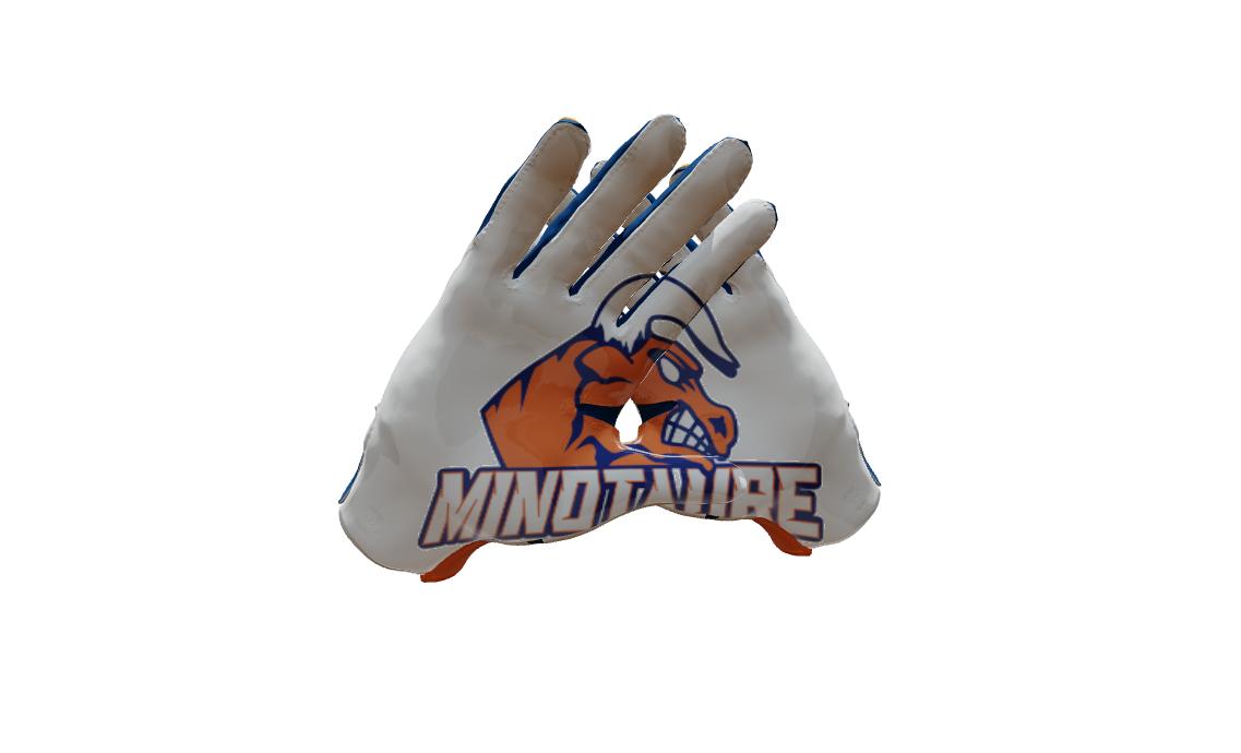 Custom Created Football Glove 216072