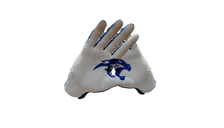 Custom Created Football Glove 261751
