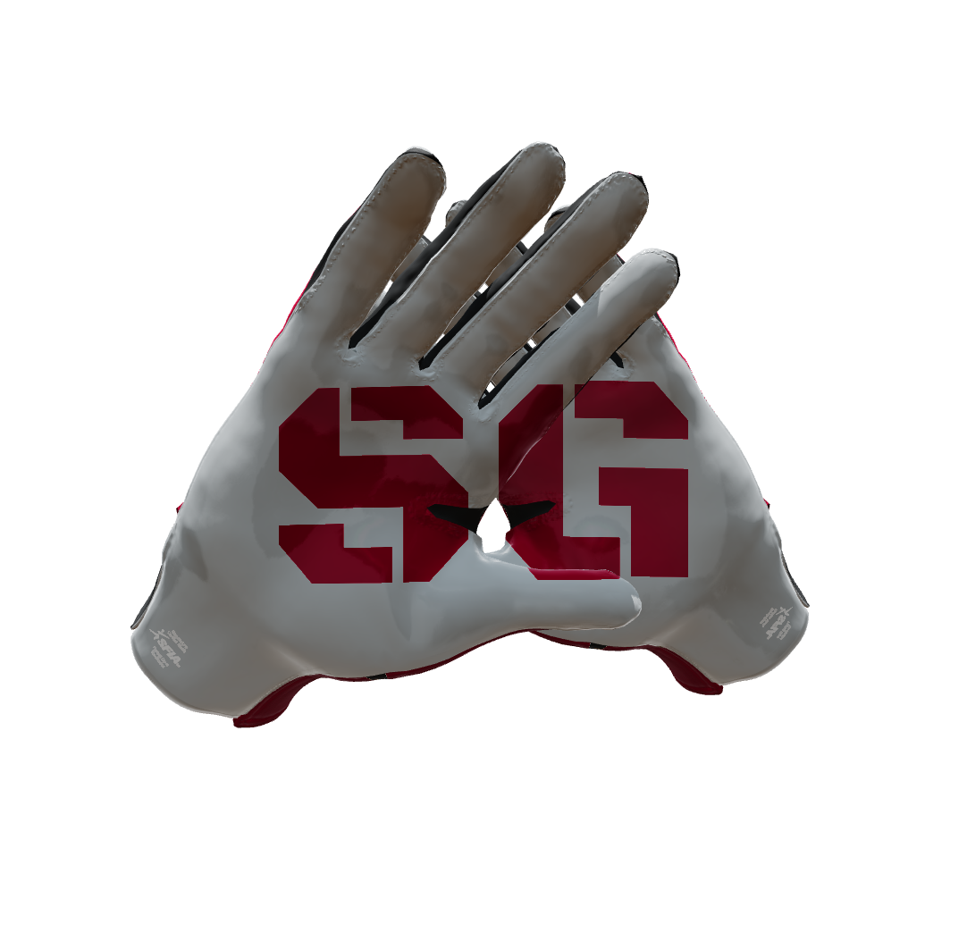 Custom Created Football Glove 202023