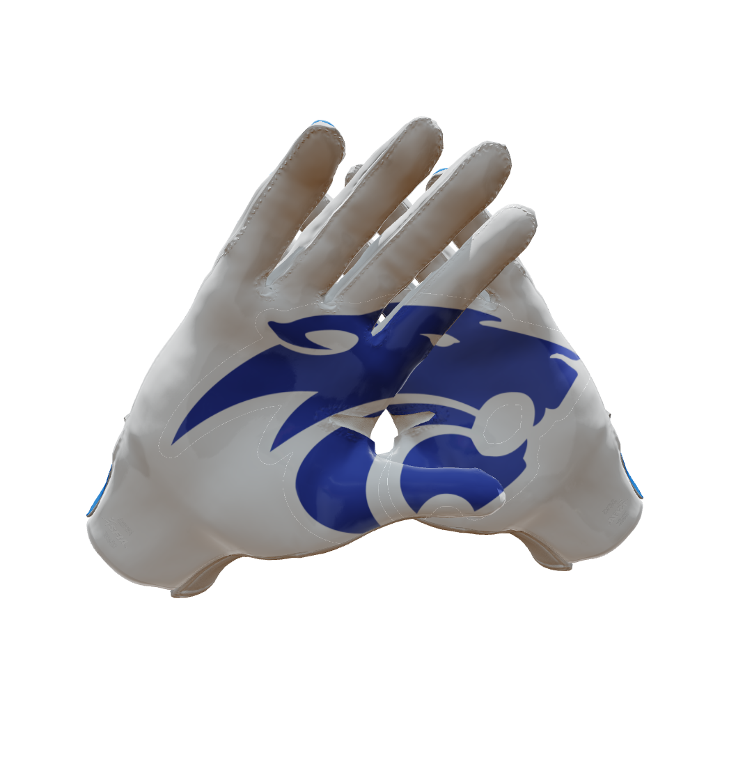 Custom Created Football Glove 952361