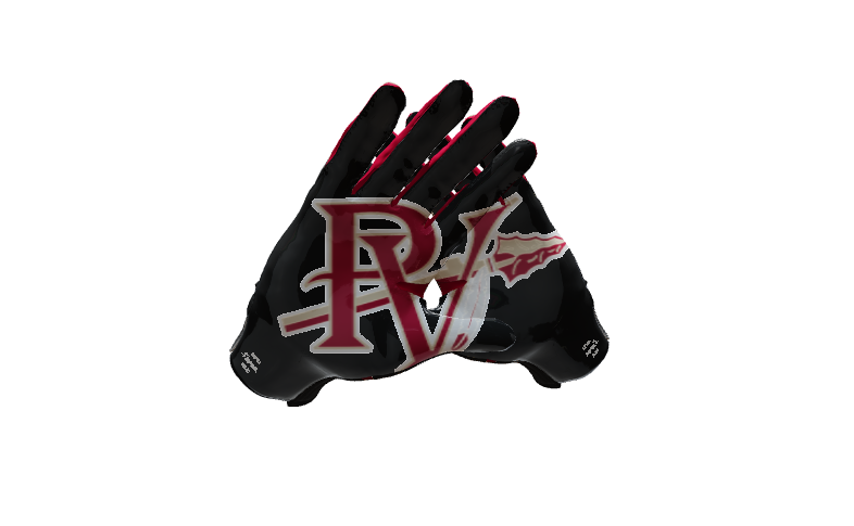 Custom Created Football Glove 843066