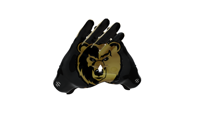 Custom Created Football Glove 239827