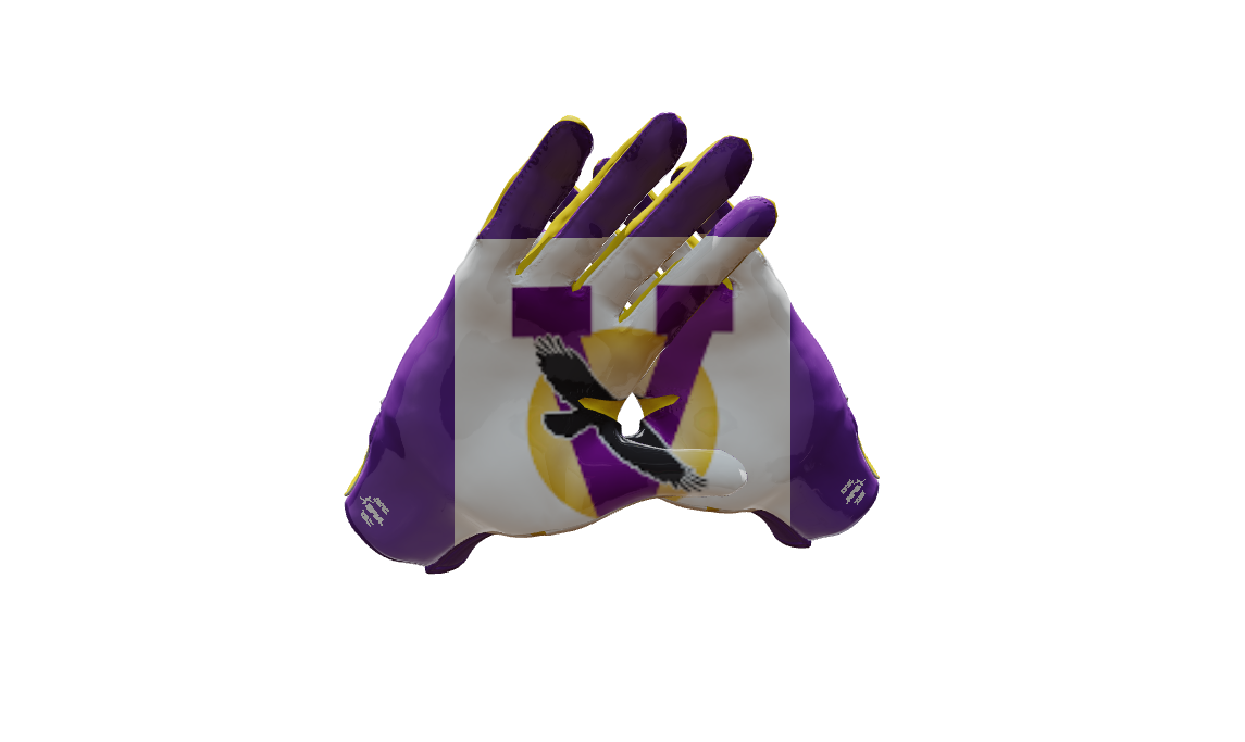 Custom Created Football Glove 597500