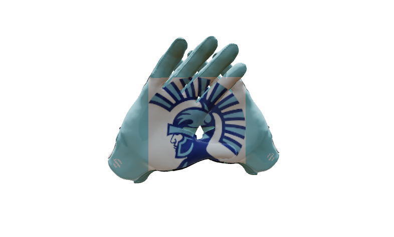 Custom Created Football Glove 946071