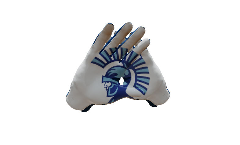 Custom Created Football Glove 746724