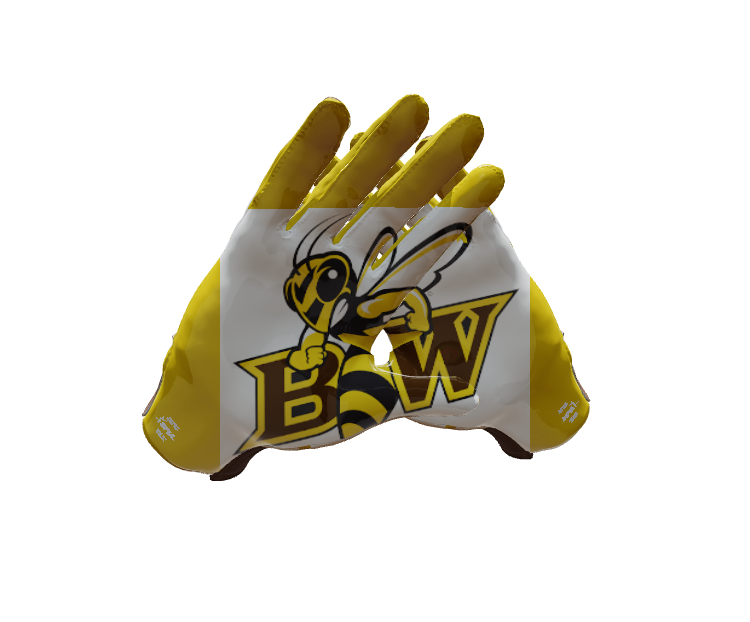Custom Created Football Glove 162503