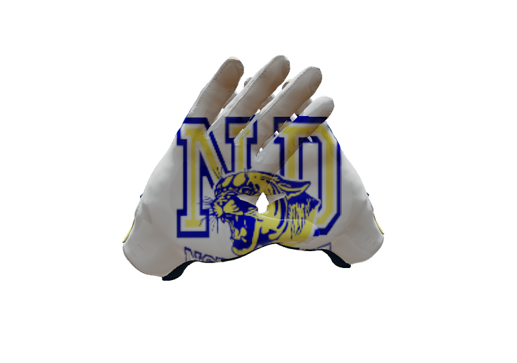 Custom Created Football Glove 111422