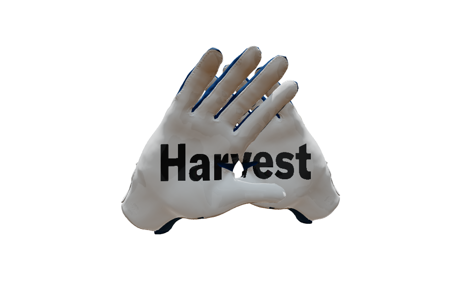 Custom Created Football Glove 359607