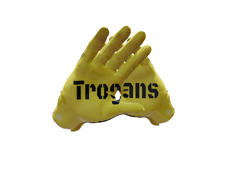 Custom Created Football Glove 349648