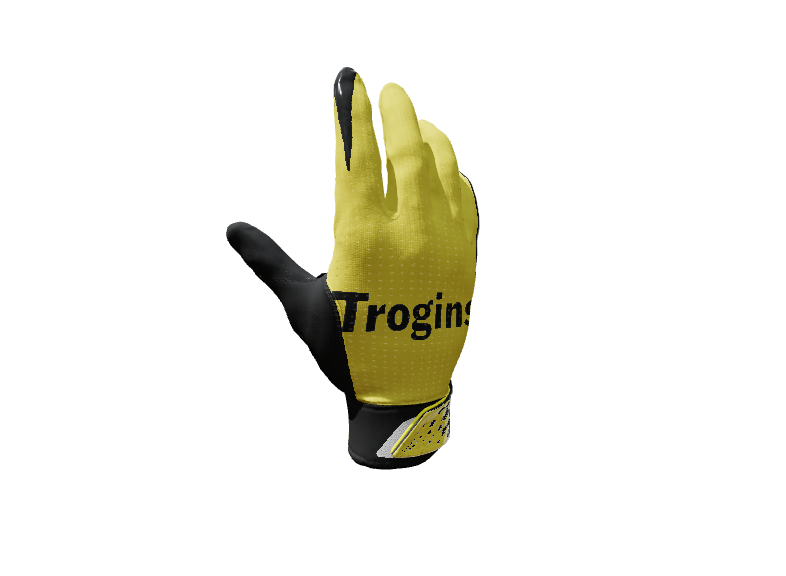 Custom Created Baseball Glove 243951