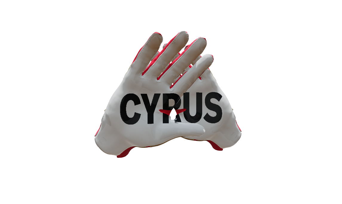 Custom Created Football Glove 350360