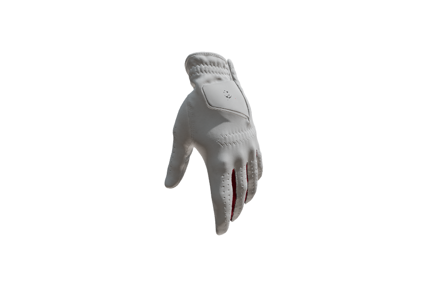 Custom Created Golf Glove 679519