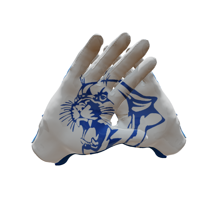Custom Created Football Glove 133831