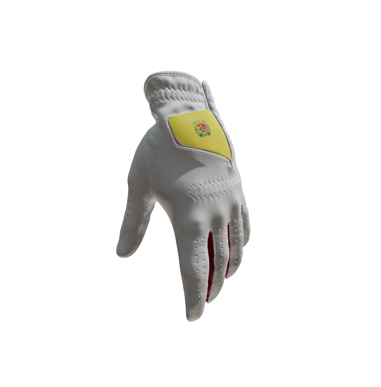 Custom Created Golf Glove 578595