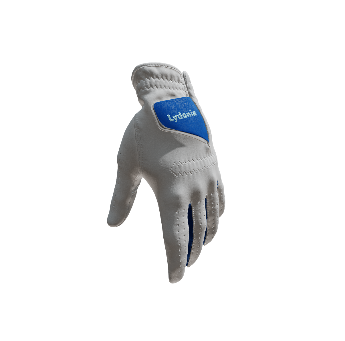 Custom Created Golf Glove 990924