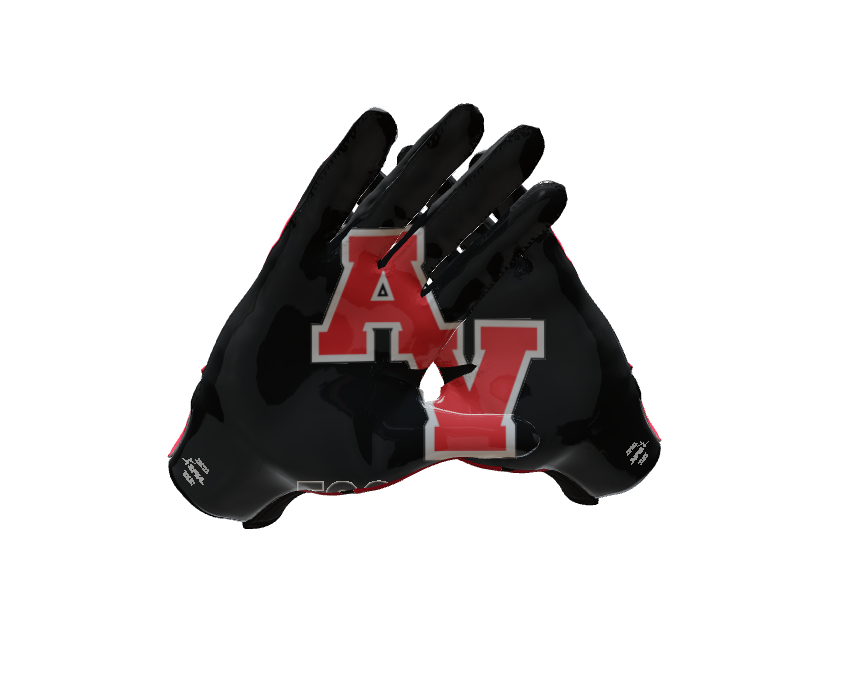 Custom Created Football Glove 209120