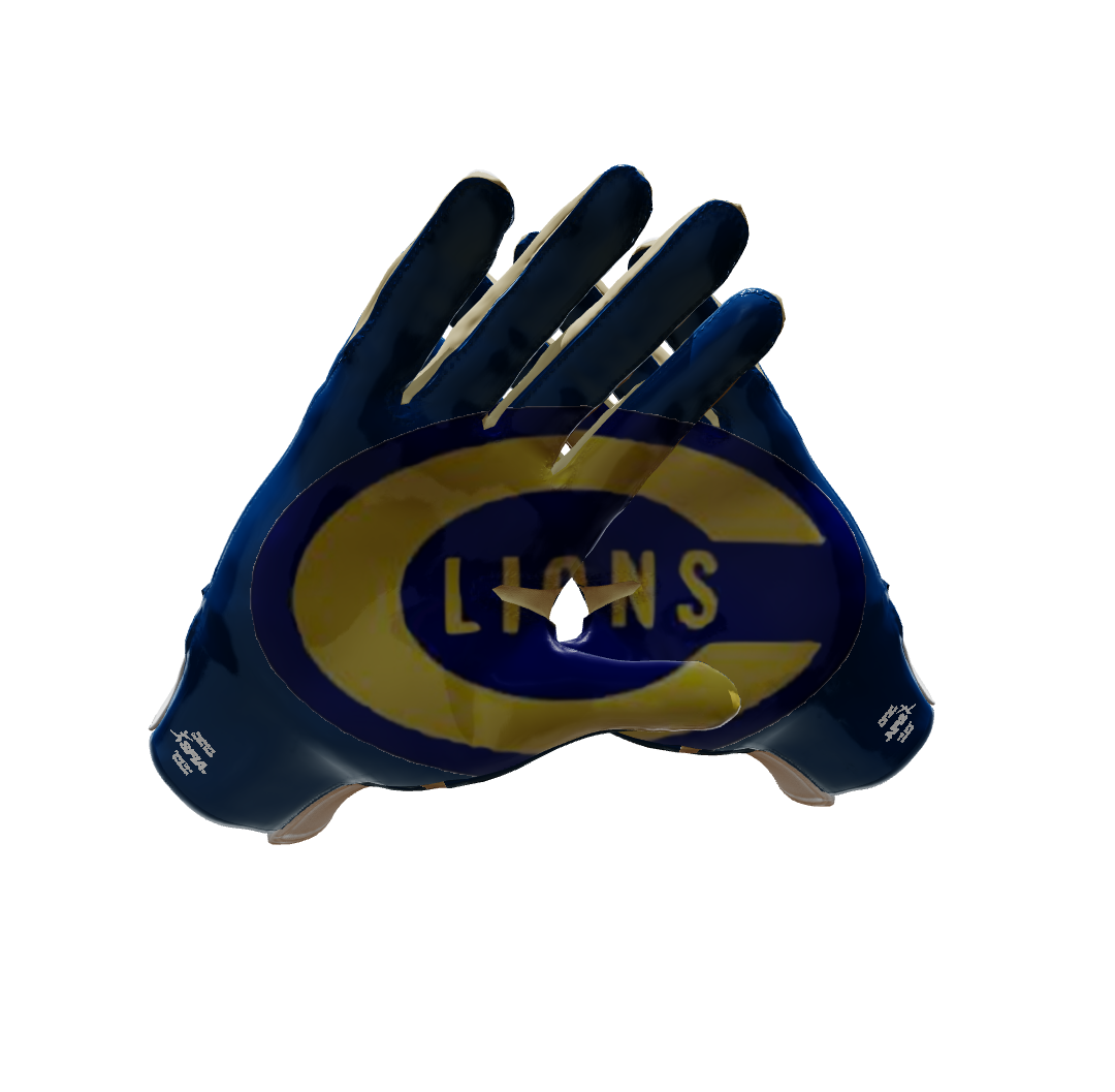 Custom Created Football Glove 845820