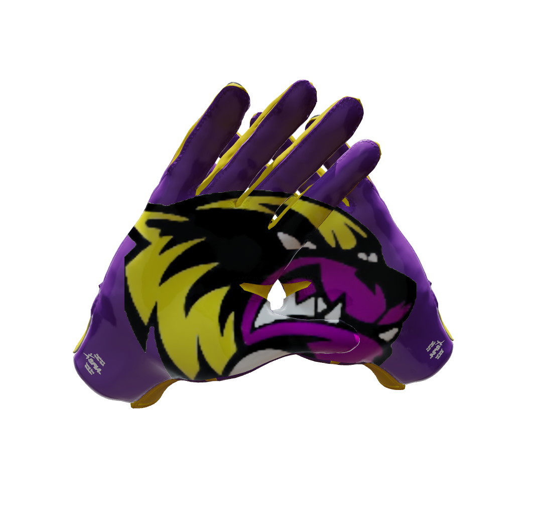 Custom Created Football Glove 232428