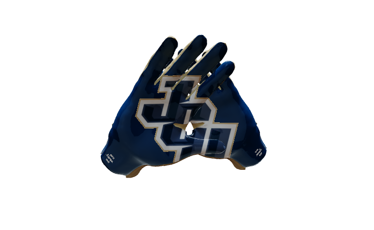 Custom Created Football Glove 322058