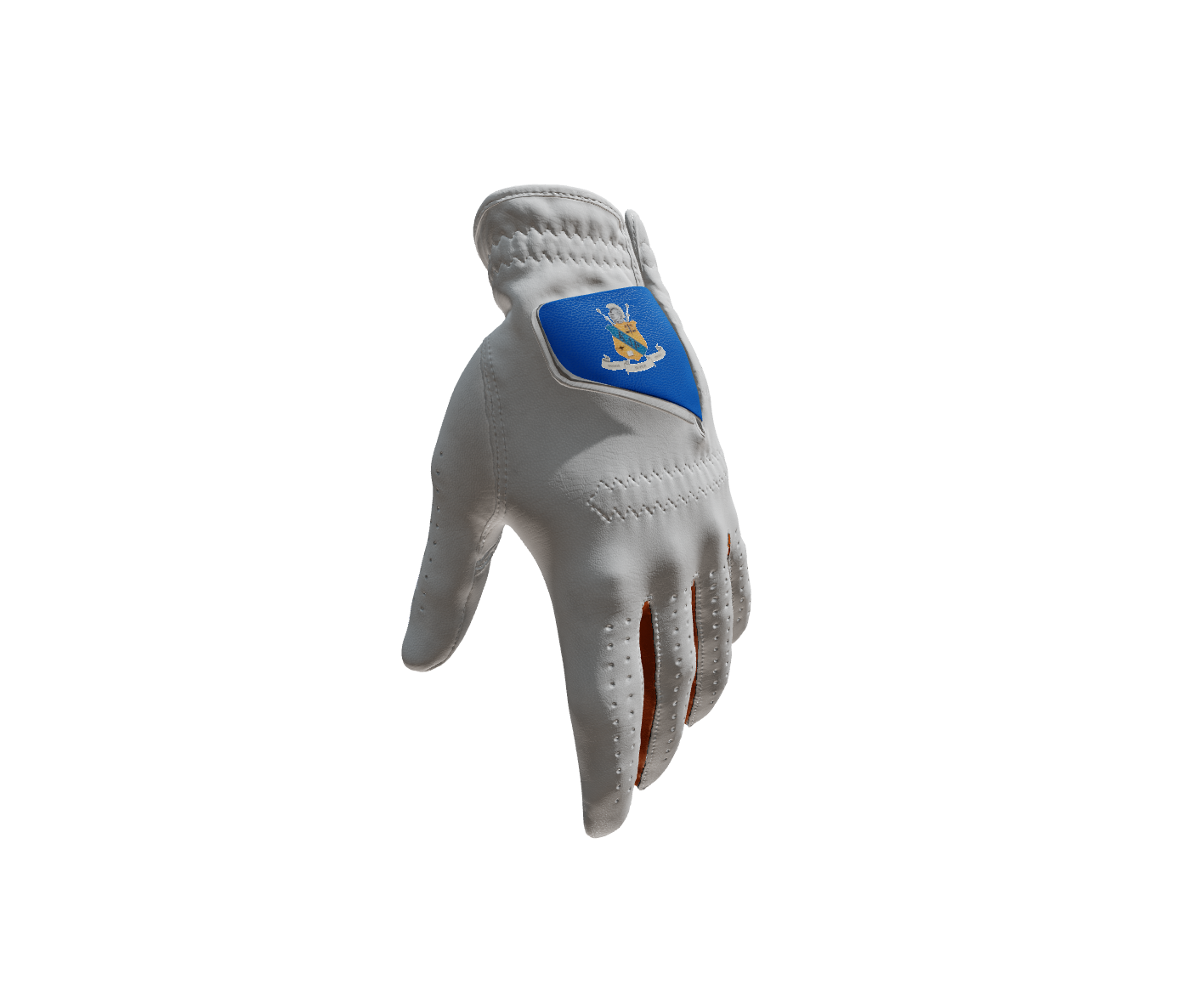 Custom Created Golf Glove 560243