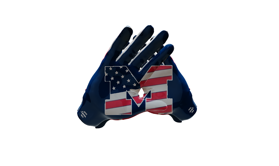 Custom Created Football Glove 804476