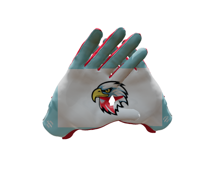 Custom Created Football Glove 604841