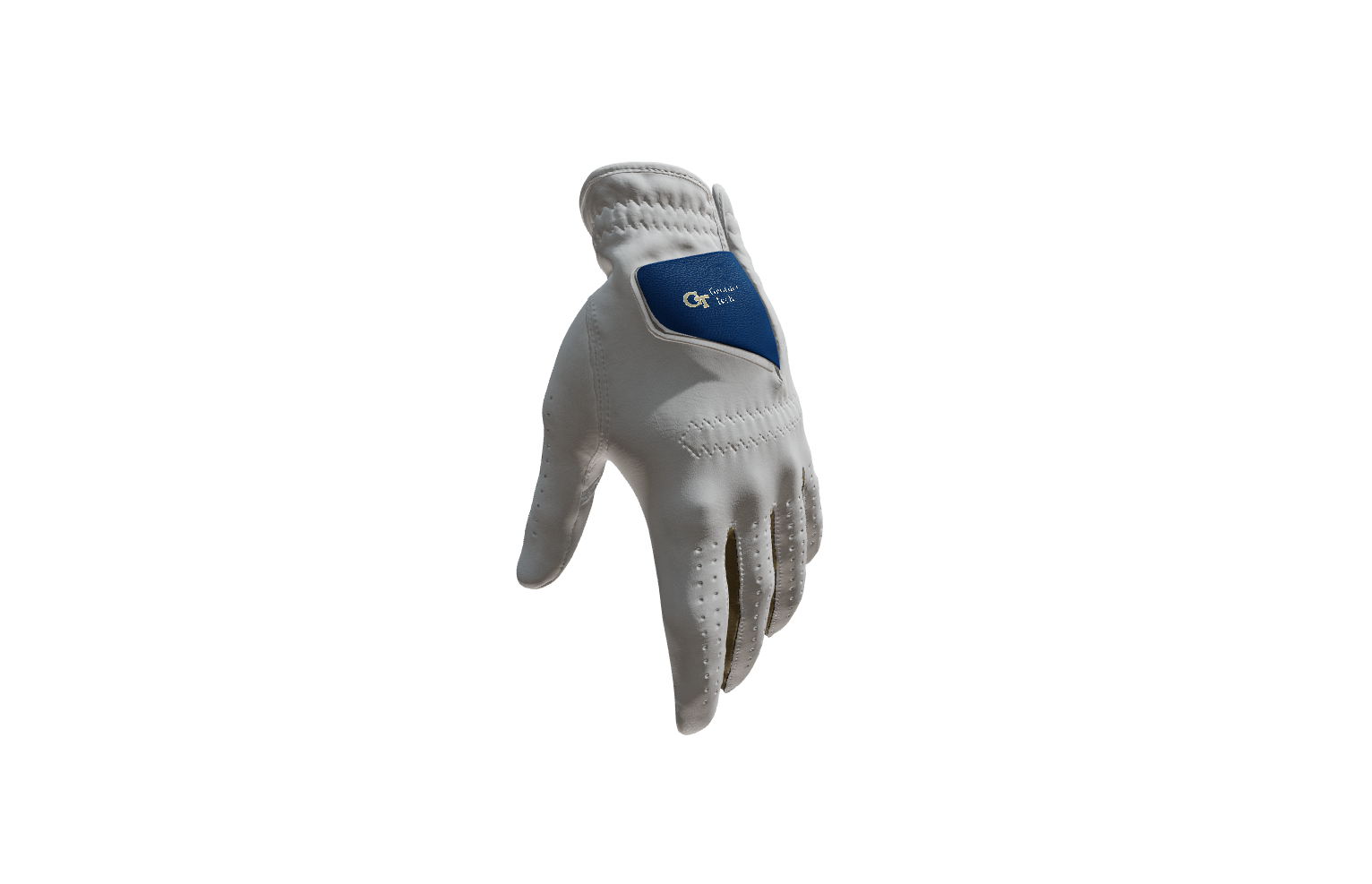 Custom Created Golf Glove 770251